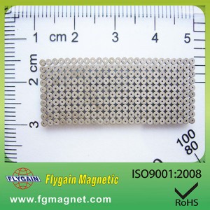 Micro Magnet for Watch Motor
