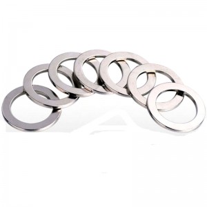 Customize monopole ring magnet .