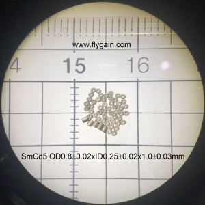 Smco manufacturer super small precision micro magnet