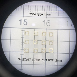 Micro Precision SmCo Ring Magnet For Mobile Motor